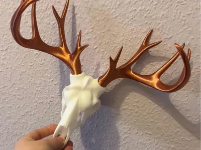 Stag Head 