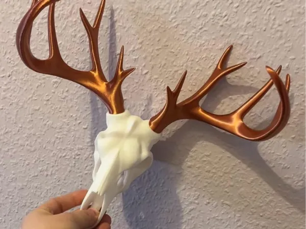https://makerworld.bblmw.com/makerworld/model/USe48e41f7a9c8ab/design/2025-04-09_5e4bfde75f5c88.jpg