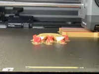 0.2mm layer, 2 walls, 15% infill