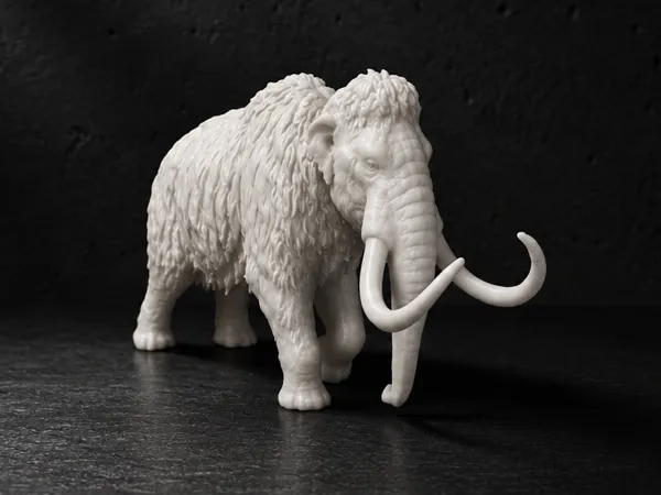 https://makerworld.bblmw.com/makerworld/model/USe4985dffcb8a13/design/54a3da25c1557ce7.png