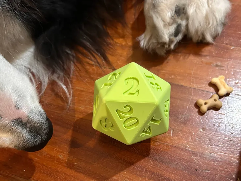 D²0G -Dog Enrichment D20 Toy-