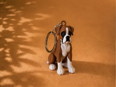 Boxer Keychain 