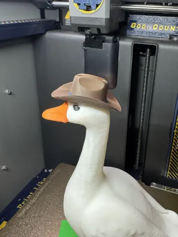Modelo para impresión 3D: Cowboy hat for desk goose — vista de referencia 2