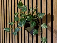 Pot mural acoustique pour fleurs artificielles — photo 2