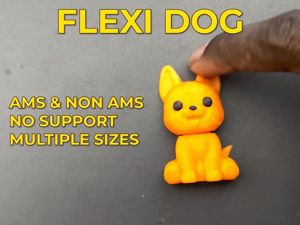 https://makerworld.bblmw.com/makerworld/model/USe4aac071f05264/design/2025-09-13_67f39a8af22dd.gif