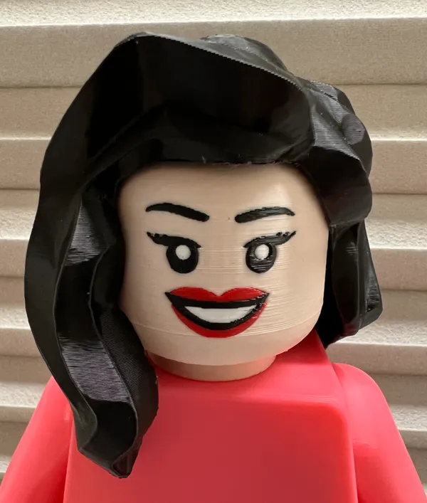 https://makerworld.bblmw.com/makerworld/model/USe4ab4d4a235ee5/design/2024-12-19_a39aa426b5c6d.jpg