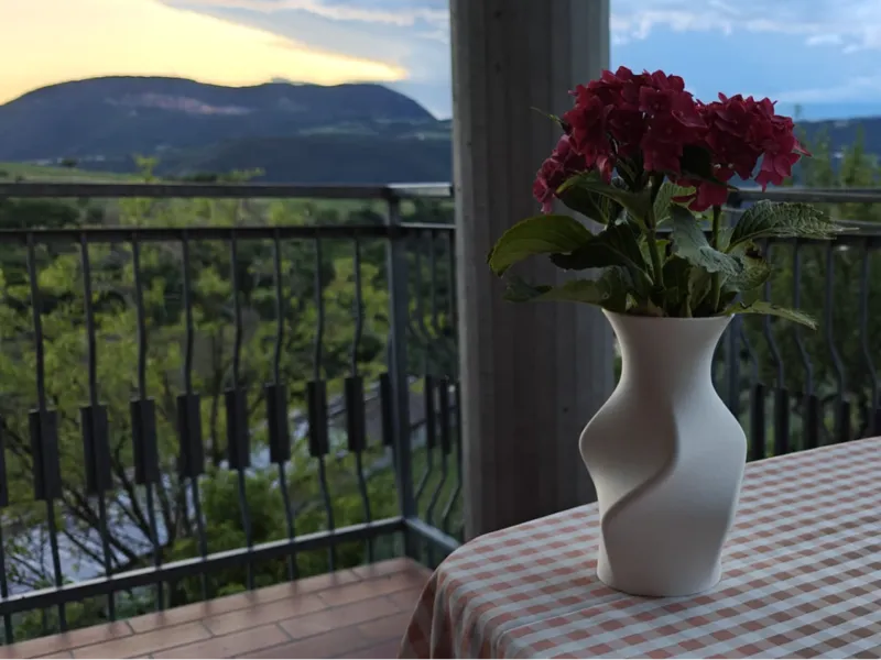Vaso moderno