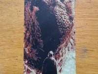 0.08mm layer, 2 walls, 100% infill