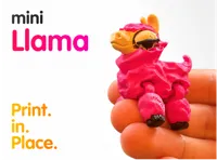1 Color Single Color
