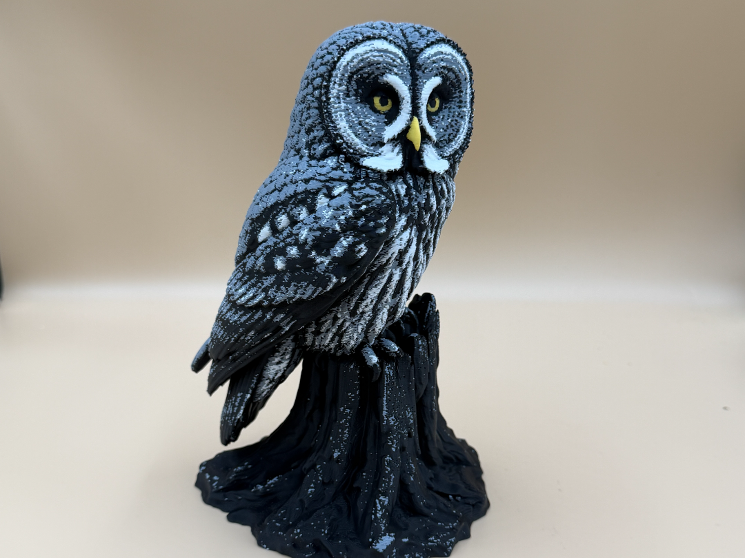 Great Gray Owl - 1