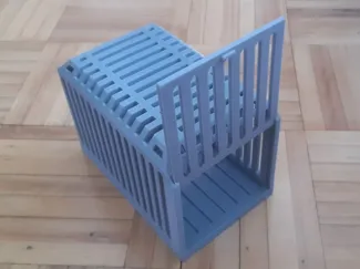 Dino Cage