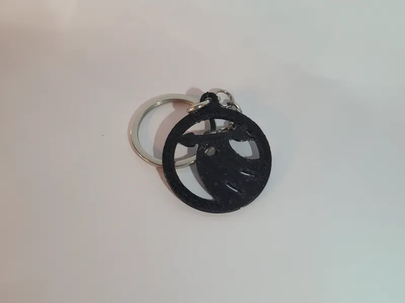 Skoda keychain