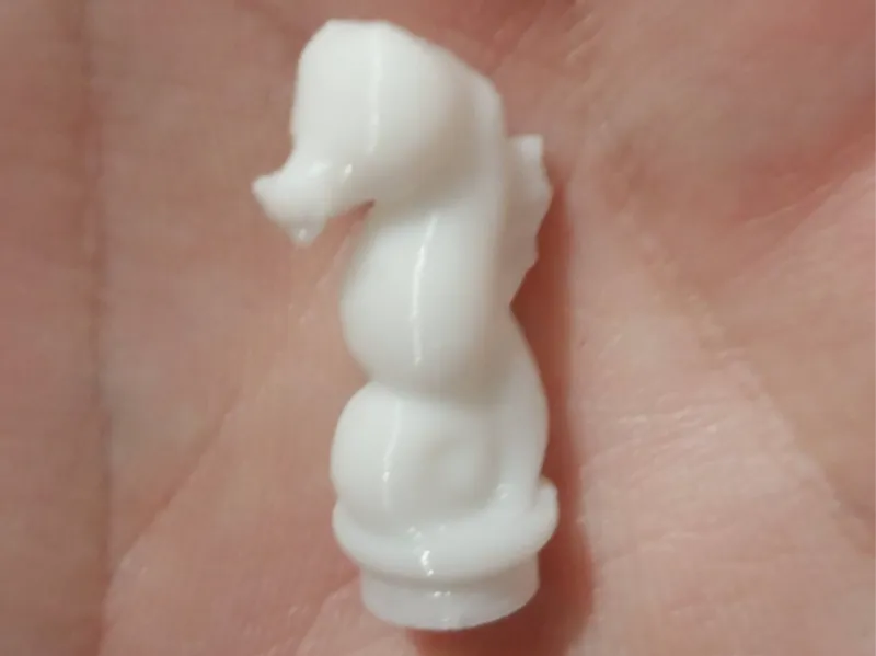 Sea Horse