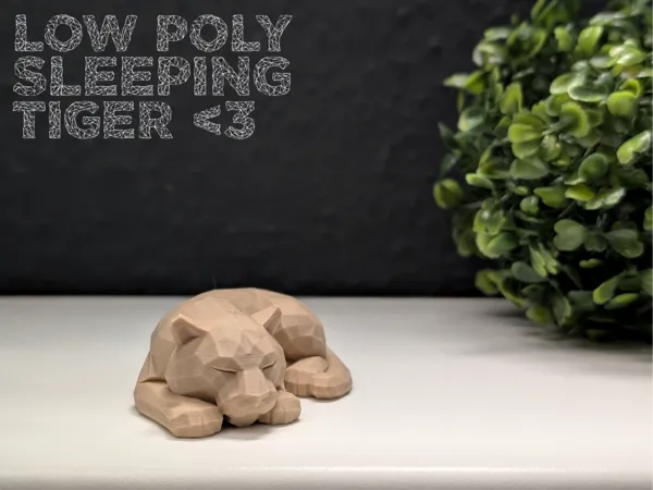 https://makerworld.bblmw.com/makerworld/model/USe4c02b155e91b1/design/2025-05-29_3db28b71034b2.jpg