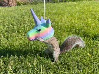 Unicorn Squirrel Feeder