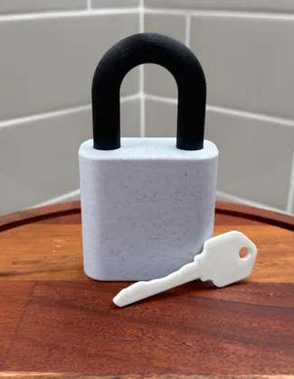 Fully Printed Lock (6 Pin Tumbler)