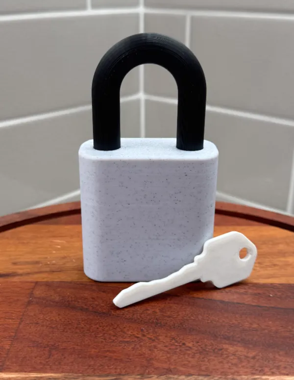 https://makerworld.bblmw.com/makerworld/model/USe4cdbe52fe12dc/design/2025-01-19_d1fda9b767cb9.jpg