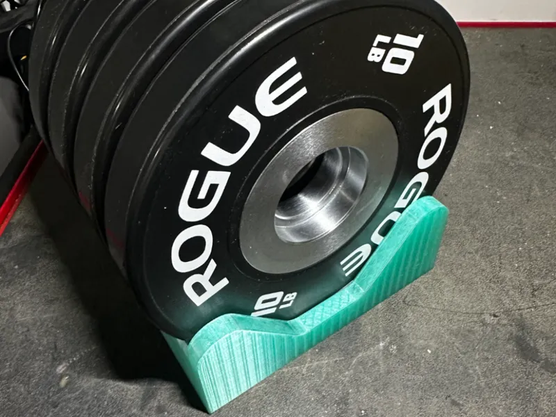 Rogue Dumbbell Bumper Plate Holder - 10 lb Plates