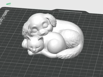 Sleeping Dog and Cat