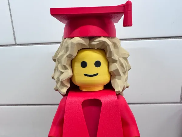 https://makerworld.bblmw.com/makerworld/model/USe4d1a243b9b258/design/2025-06-10_19d8dd95d5d658.jpeg