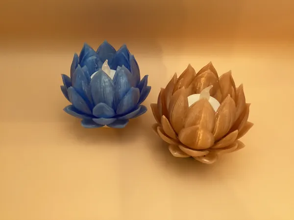 https://makerworld.bblmw.com/makerworld/model/USe4d330fabadf17/design/656aa6546a1d18ad.jpeg