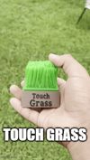 0.2mm layer, 2 walls, 8% infill