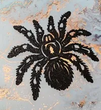 Décoration murale araignée mygale — photo 3