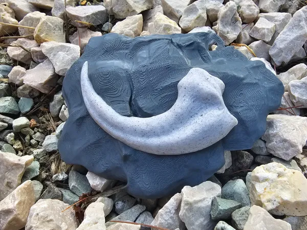 https://makerworld.bblmw.com/makerworld/model/USe4d91c23437d74/design/2025-07-12_0c123884d53a8.jpg