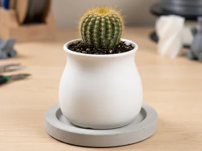 Minimalist Mini Flower Pot in Vase Design