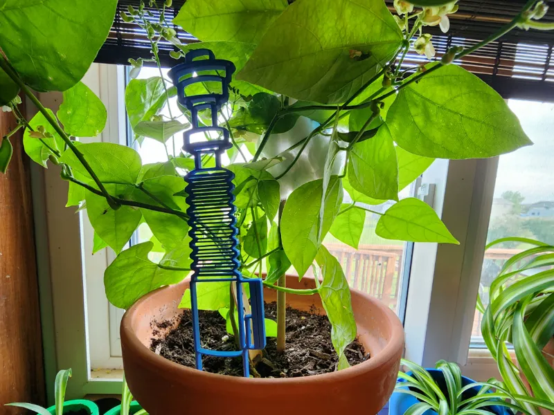 Lightsaber Trellis