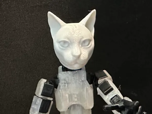 https://makerworld.bblmw.com/makerworld/model/USe4ee563ed9dbb7/design/2024-06-14_f074f52eb649a.jpg
