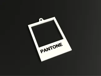 PANTONE key chain