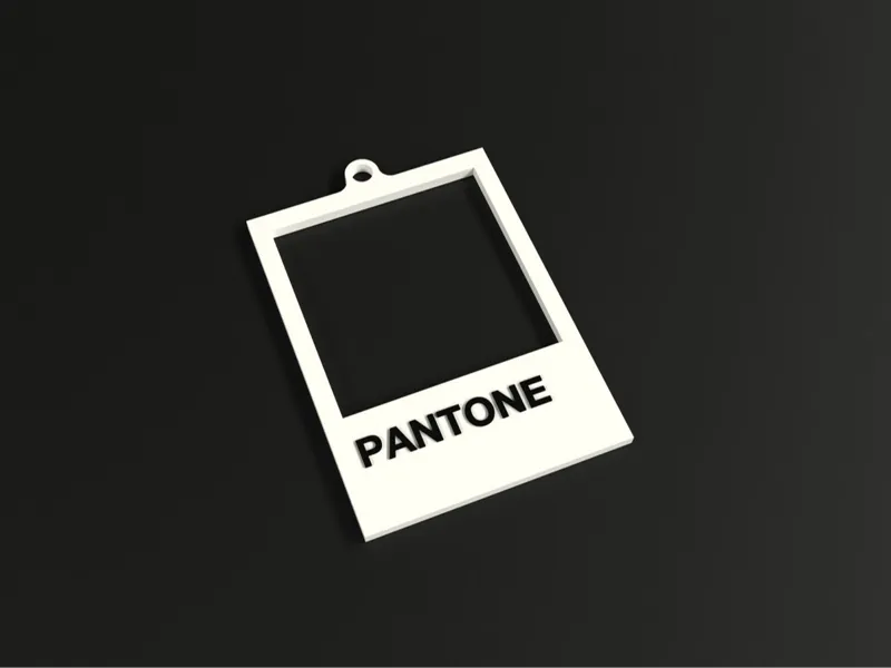 PANTONE key chain