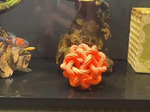 https://makerworld.bblmw.com/makerworld/model/USe4f69dd5ec30c0/design/4259f9c8-3047-4226-bc20-c4cba70dc66a.webp