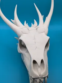 Grand crâne de dragon — photo 3