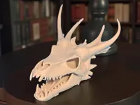 Grand crâne de dragon — photo 1