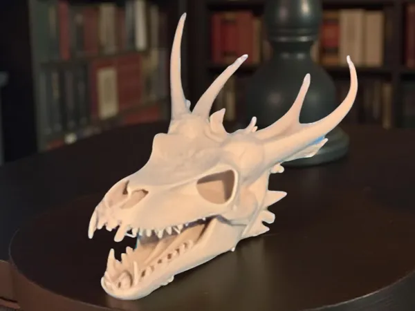 Grand crâne de dragon