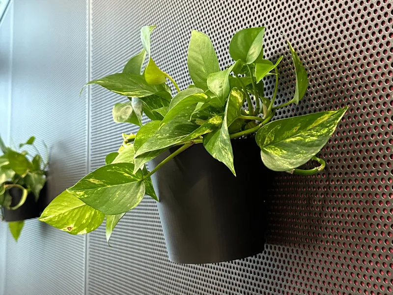 Magnetic Wall Plant Pot