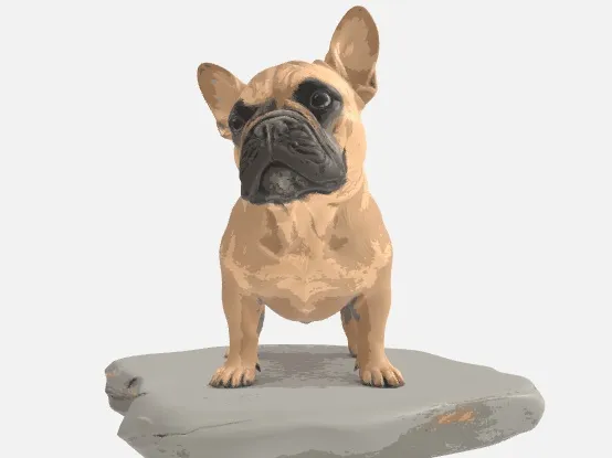 Bulldog - Scottish Bulldog