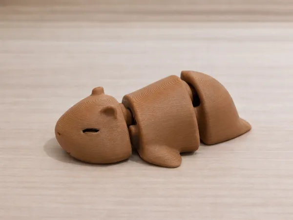https://makerworld.bblmw.com/makerworld/model/USe502163a0019df/design/0a3b1e40c06de360.png