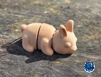 1 color flexy bunny