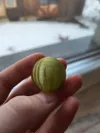 0.2mm layer, 2 walls, 80% infill