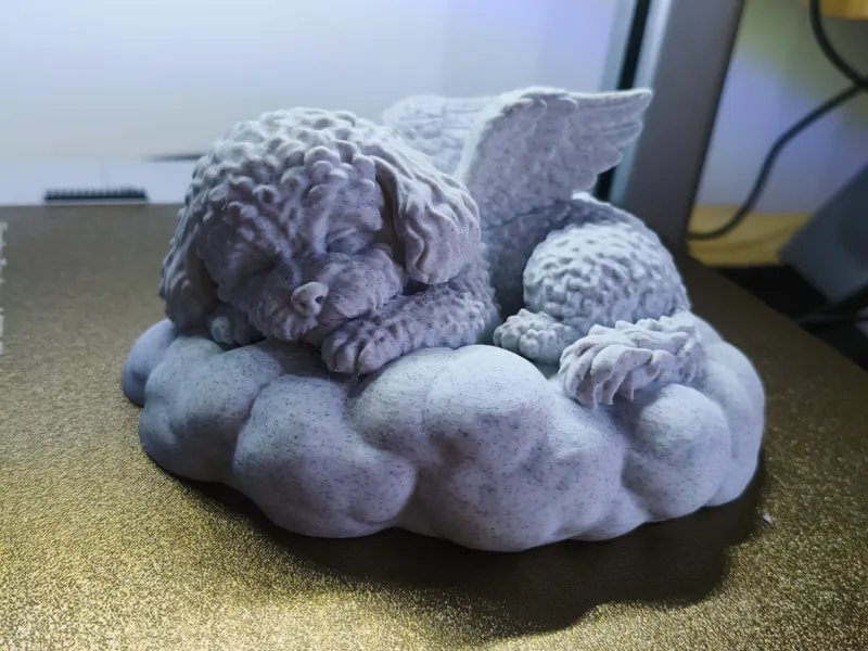 Bichon angel