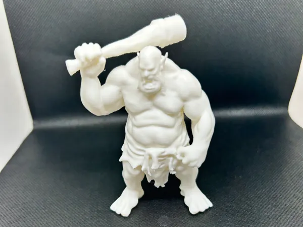 https://makerworld.bblmw.com/makerworld/model/USe51608d732326e/design/2024-12-23_e57db9fe3f421.jpeg