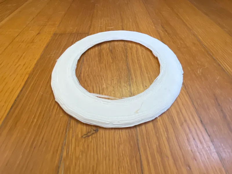 Epic Frisbee