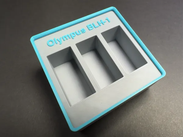 https://makerworld.bblmw.com/makerworld/model/USe518a9321adf36/design/2025-01-23_08237b503583a.jpg