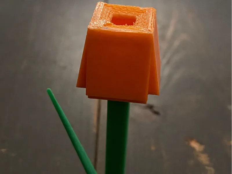 Orange Tulip From Grow a Garden