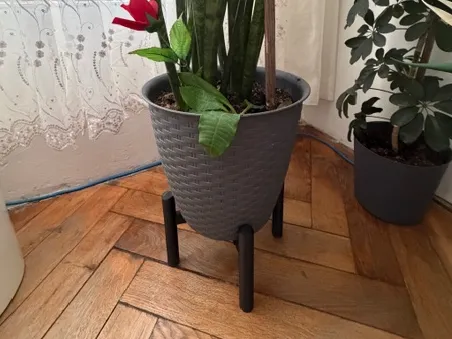 Modular Plantriser Spacer Stand
