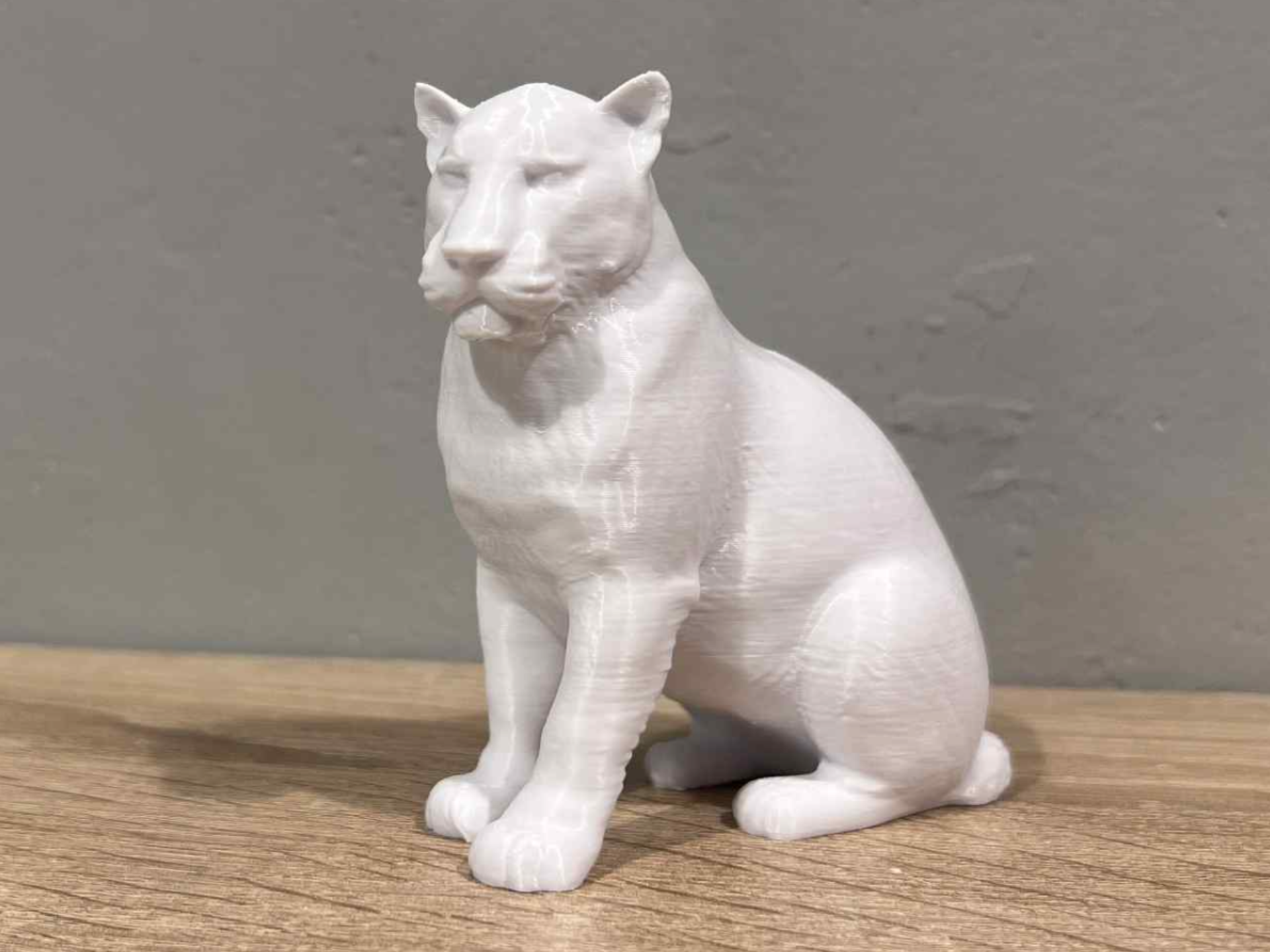 Jaguar - Cat - Animal - Zoo