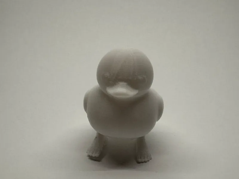 Duck With Feet